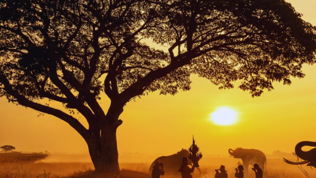 Kosher Luxury Safari Lodge In Greater Kruger National Park